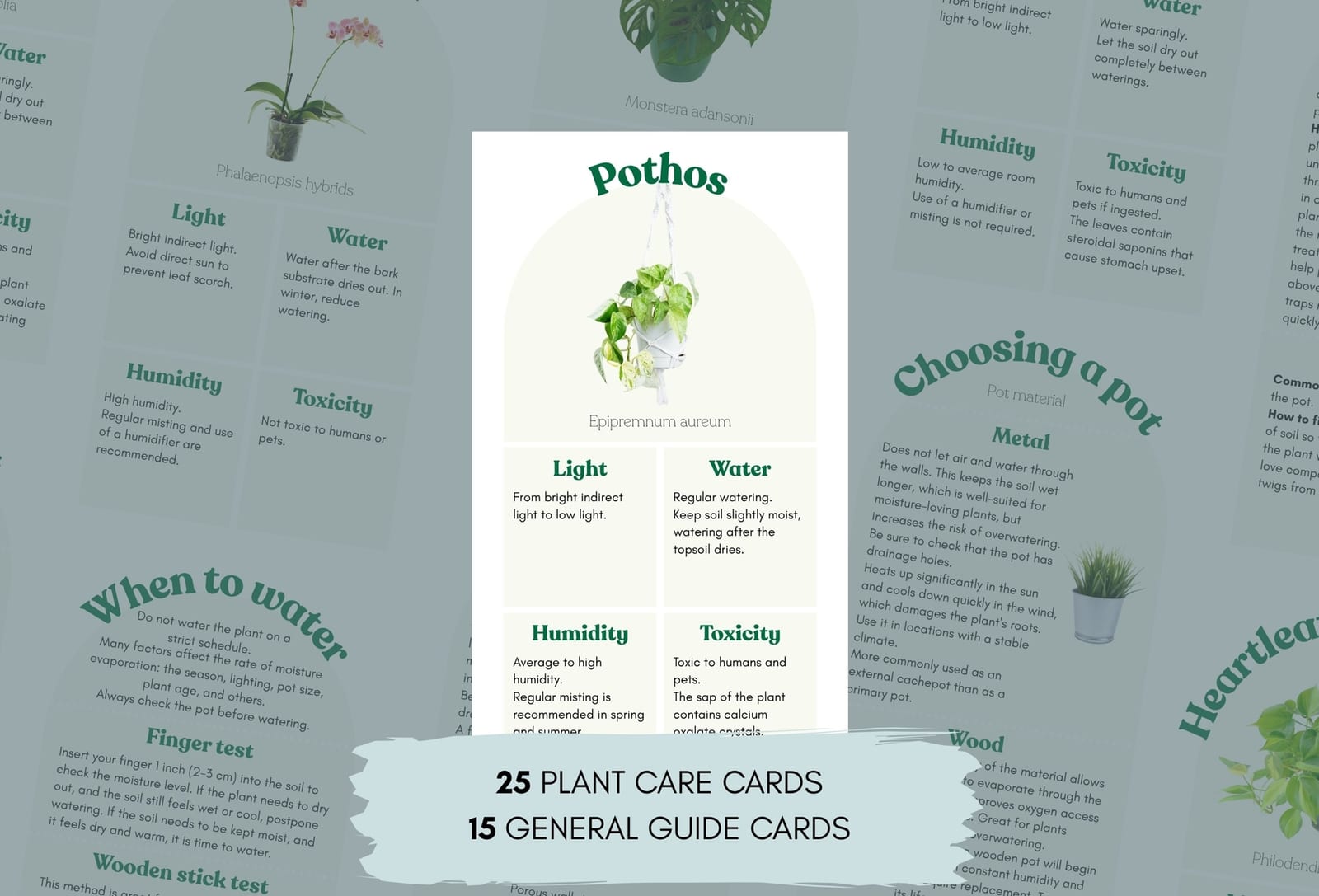 Printable Plant Care Cards | Popular Houseplants Care Guide
